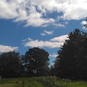 Meet your Posher, Shelby